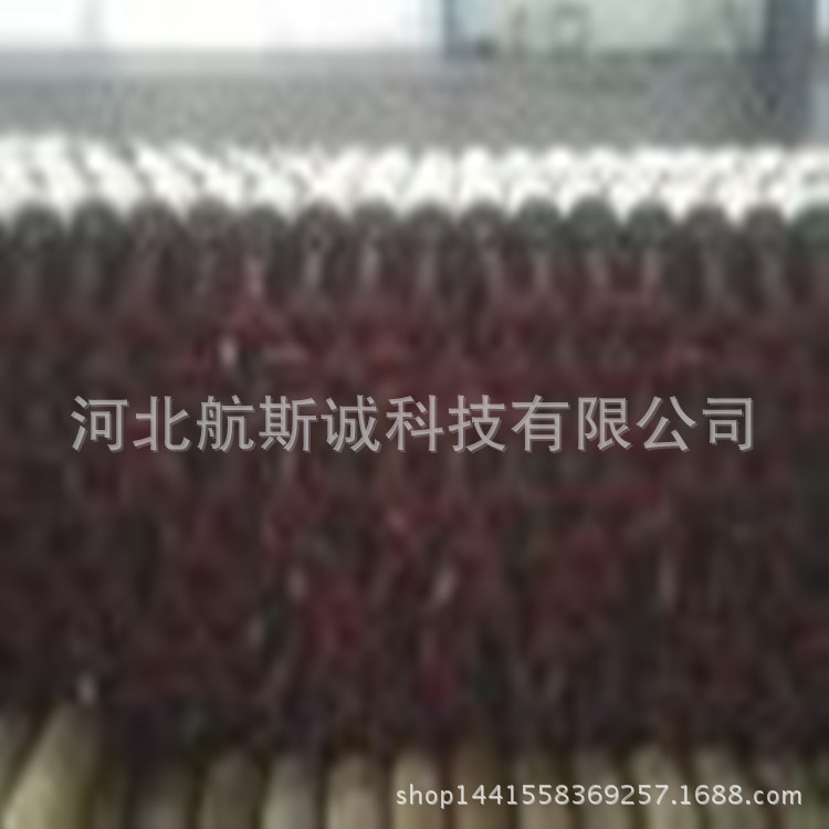 2469811537_231972913.summ_副本