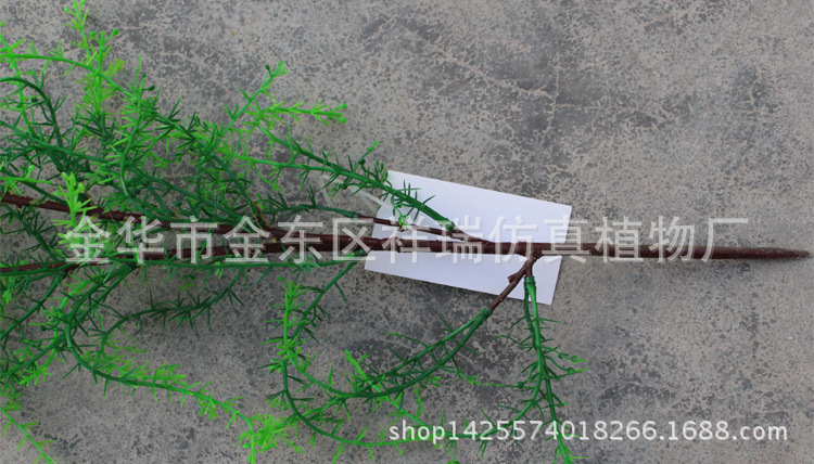 XRB-134骆驼刺叶2叉枝60叶春色3