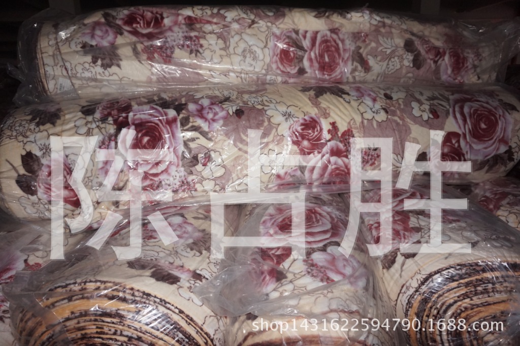 DSC00224
