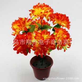 ���滨�x����ԏS���������뻨����ջ�7�^5����ץ�ռٻ��߷���