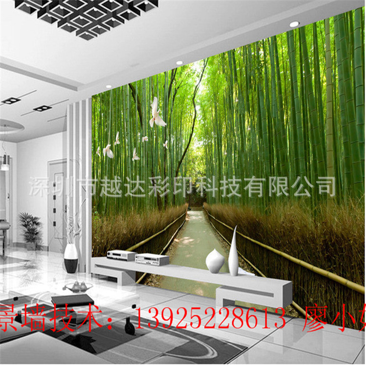 背景墙3D风景效果