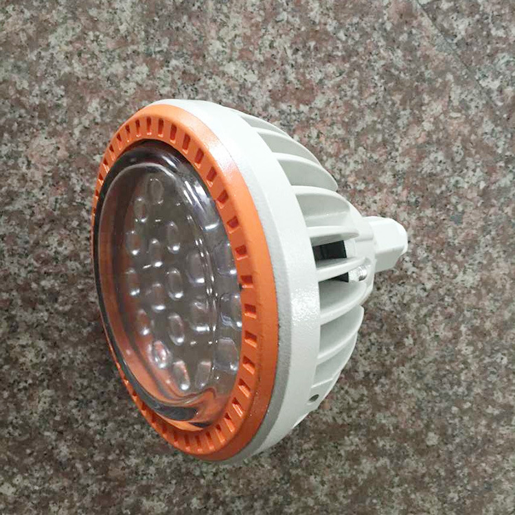 BZD118防爆LED高效节能灯低碳免维护灯新黎明20/30/40/50/60W