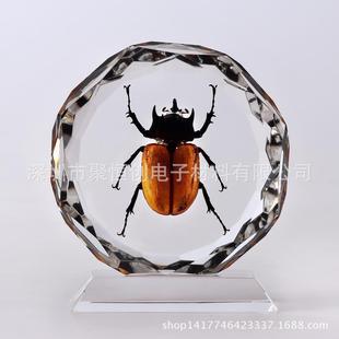 ˮ�����zˮ��֬�h�����z�˱�ܛ�z����͸������ab��diy���ɮ�