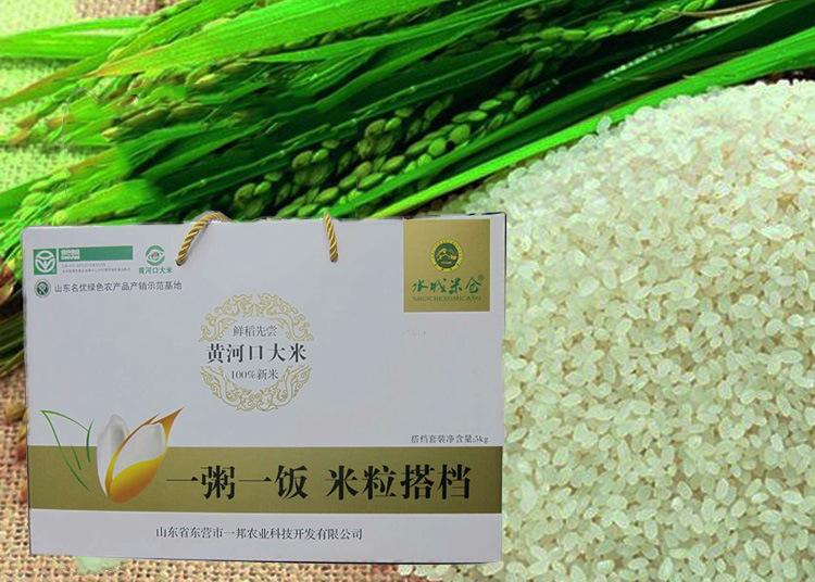 东营政府网_东营政府网供应商_东营政府网批