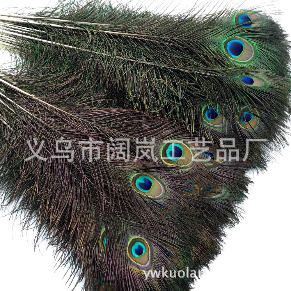 C1CE7E493DD607322CAB2476AAD72E