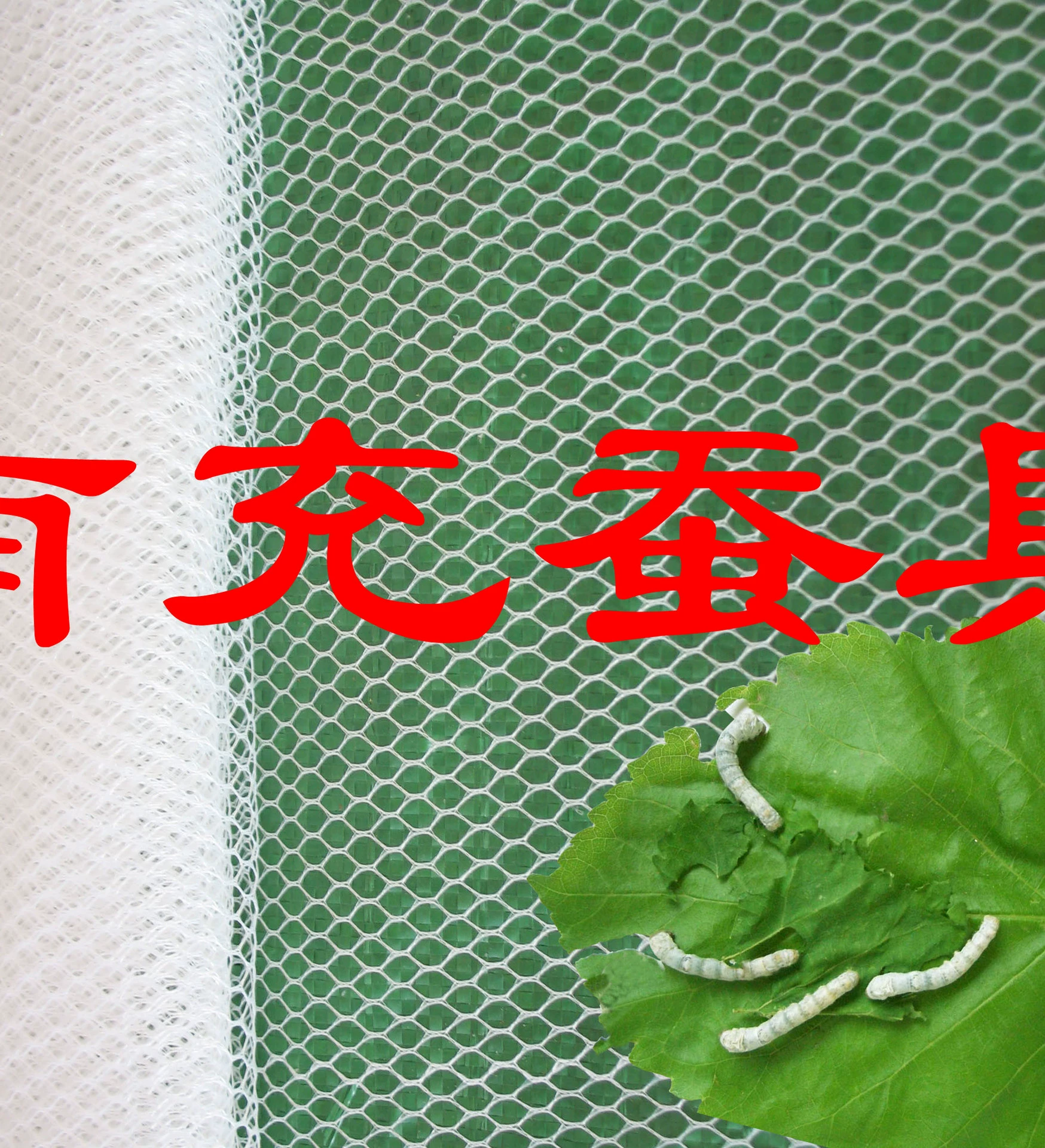 Шелкопряды используют небольшие сети шелкопряда для очистки сетей 1,1*0,8 метра мелких шелкопрядов