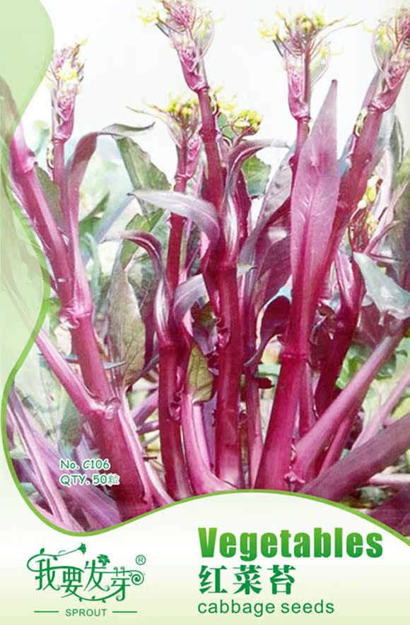 蔬菜种子九月鲜红菜苔种子紫菜薹芸菜苔种子阳台盆栽50粒 包 阿里巴巴