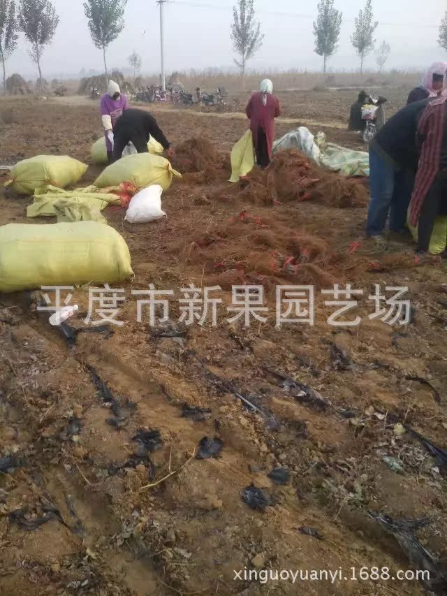 打包發(fā)貨