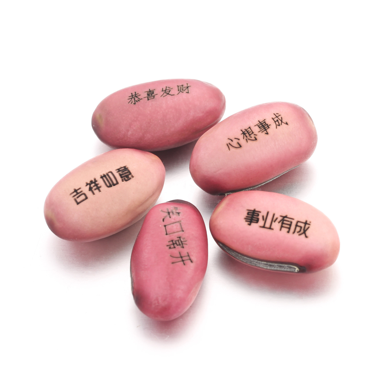 OPK批发直销 神奇魔豆种子 迷你植物 祝福爱情相思豆批发