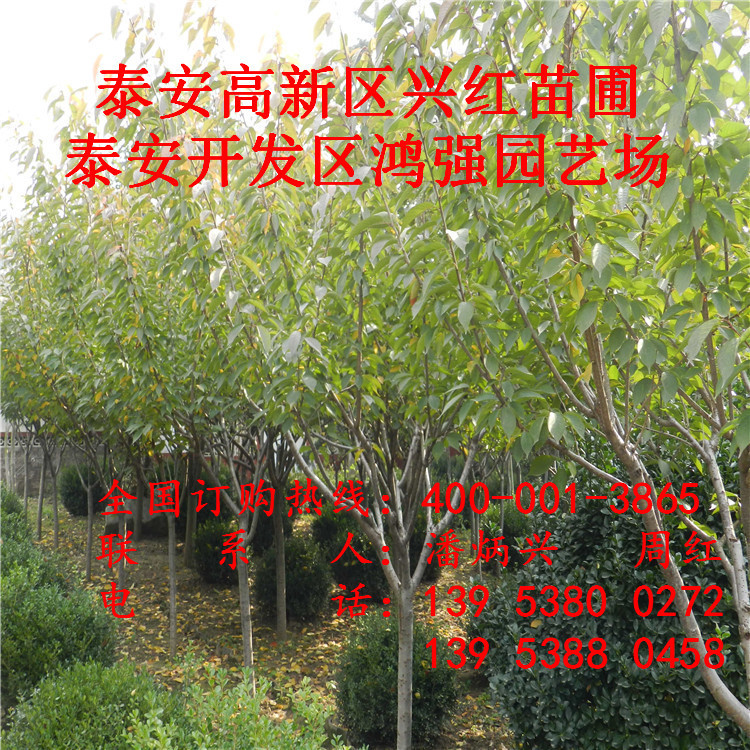 201111191921623