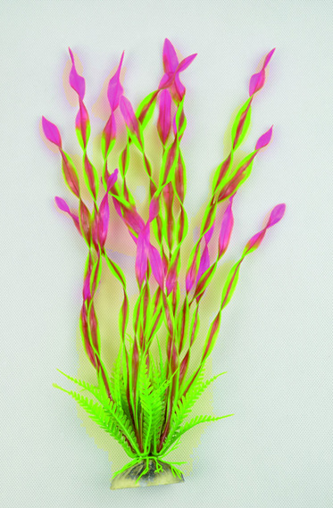 QQ图片20150728135026