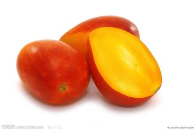 芒果苗 爱文芒果树苗嫁接芒果苗 嫁接丰产性好果树苗|ms