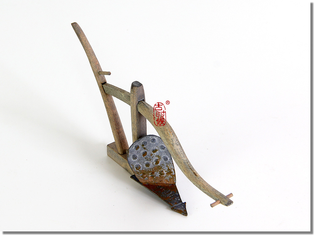 三叶犁头尖-中国国家植物标本馆模式标本-图片