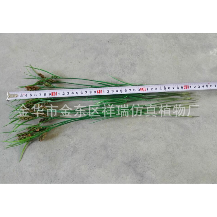 三棱草组合叶6叶花整1