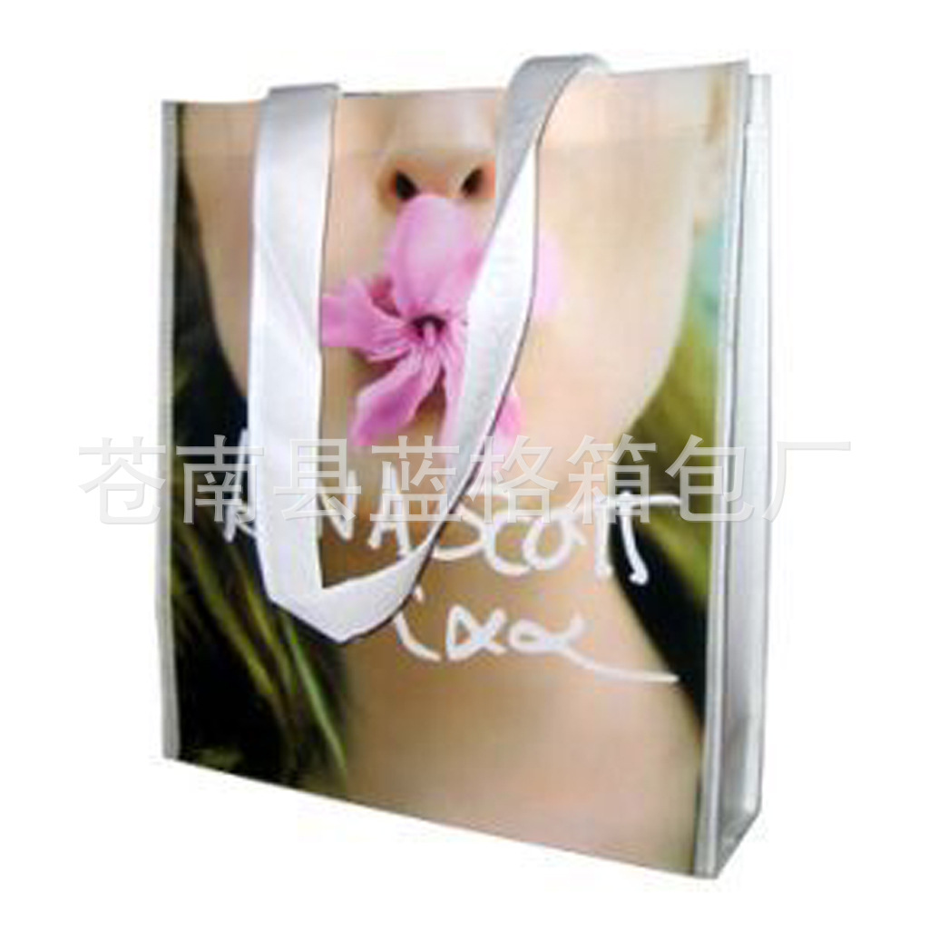 供应各种材料款式多种无布袋 立体袋