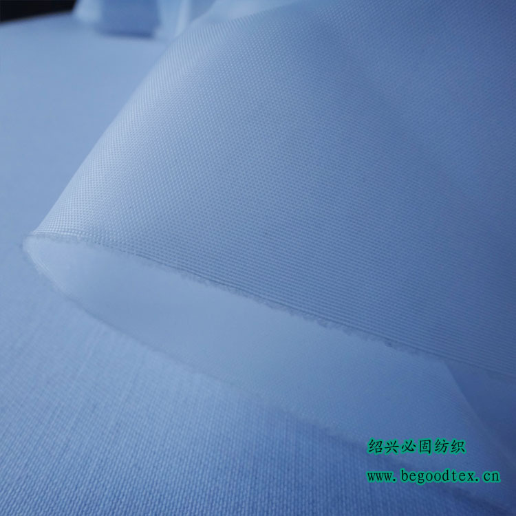 BG-DTF-101(中文1）