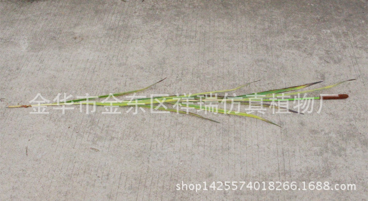 XRB-075单枝香蒲9叶150CM单枝
