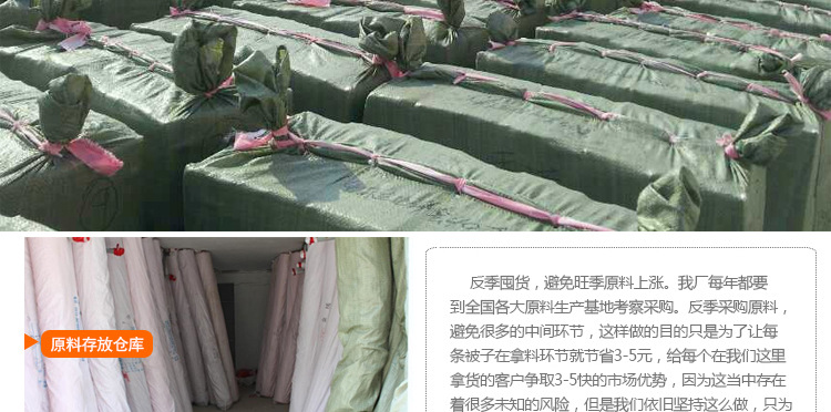 玉蘭滿庭詳1021_13