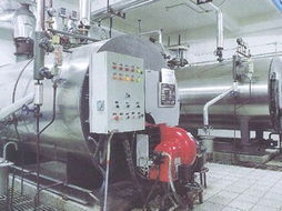 供石家庄生物质小锅炉脱硝设备 小型生物质燃气锅炉SCR脱硝选万纯