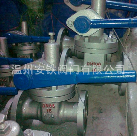 Z44H-16C/25C/P快速排污闸阀 碳钢铸钢不锈钢排污闸阀DN100