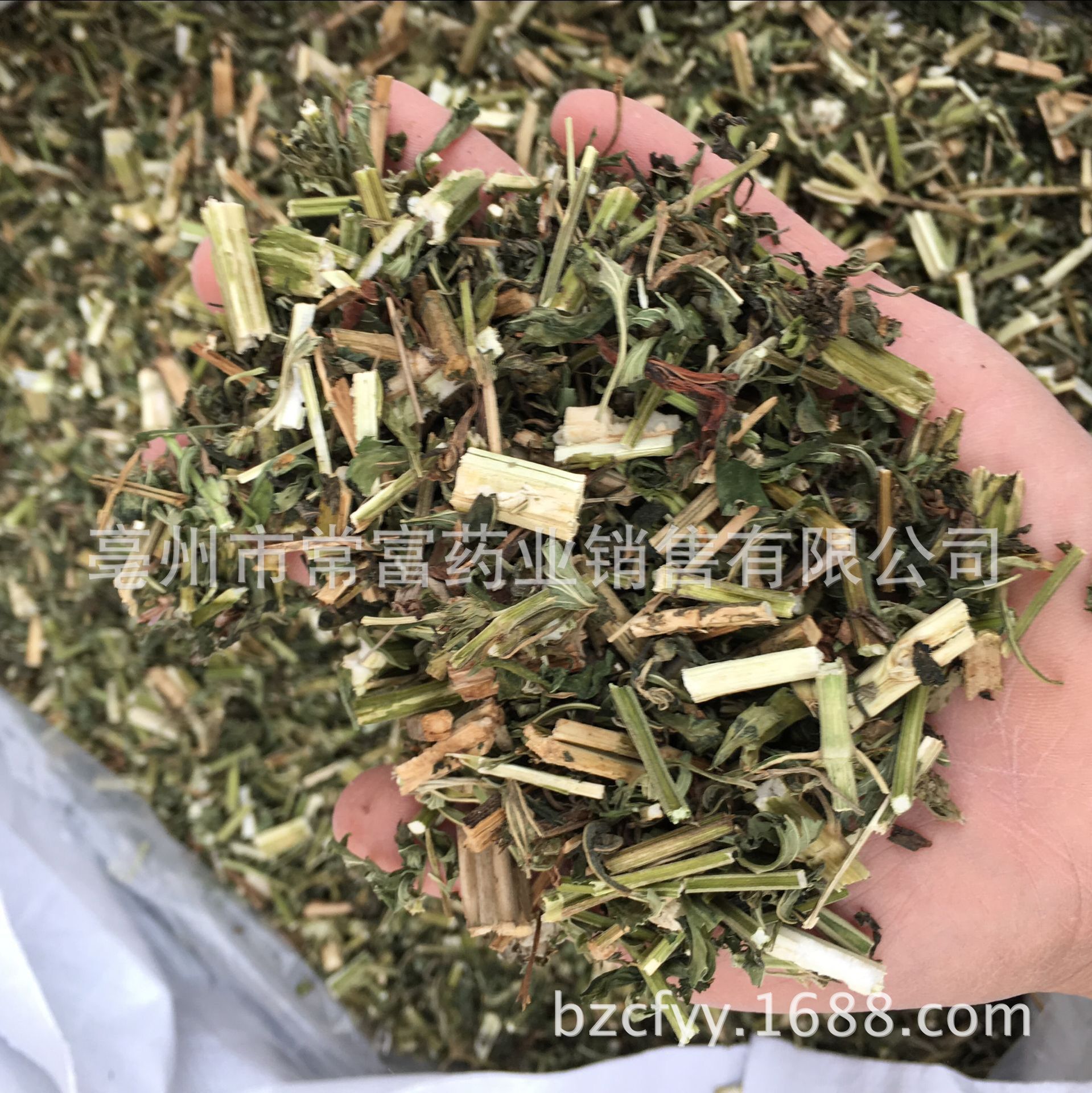 Dried Motherwort Herb Yi Mu Cao 500g Whole Cut Chinese Herbal Decoction Ingredient specifications