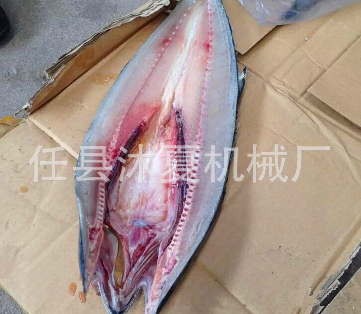 QQ圖片20151118103033