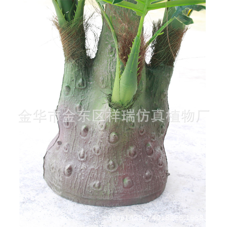 XRS-071五叉树头小葵叶29叶100CM树头