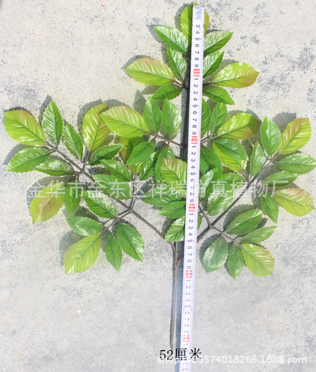 XRB-109榆树叶3叉枝57叶52厘米长