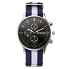 Nylon swiss watch, quartz watches, 2021 collection, suitable for import, wholesale