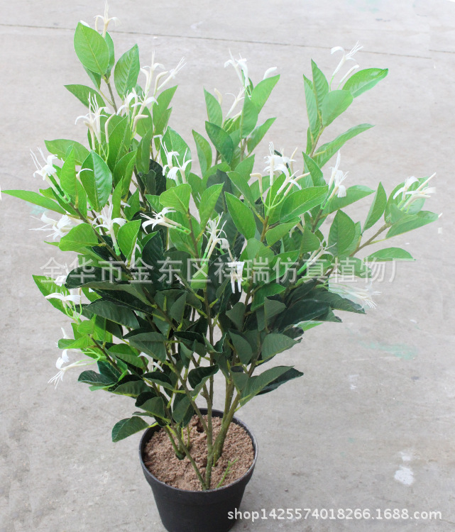 XRB-094金银花叶五叉枝71叶60花70CM1