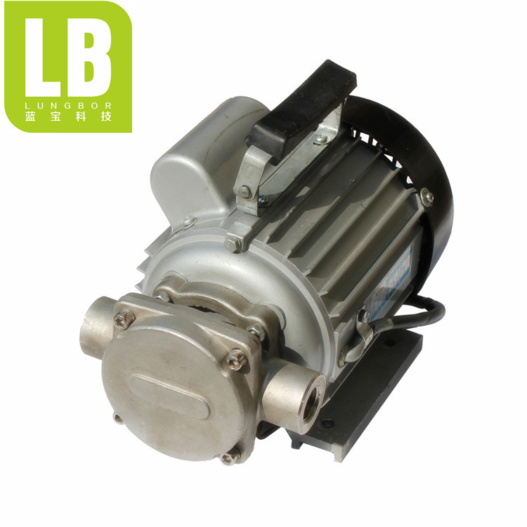 2019新款食品专用机械油泵/热油泵高温食用油泵/手提式热油泵厂家