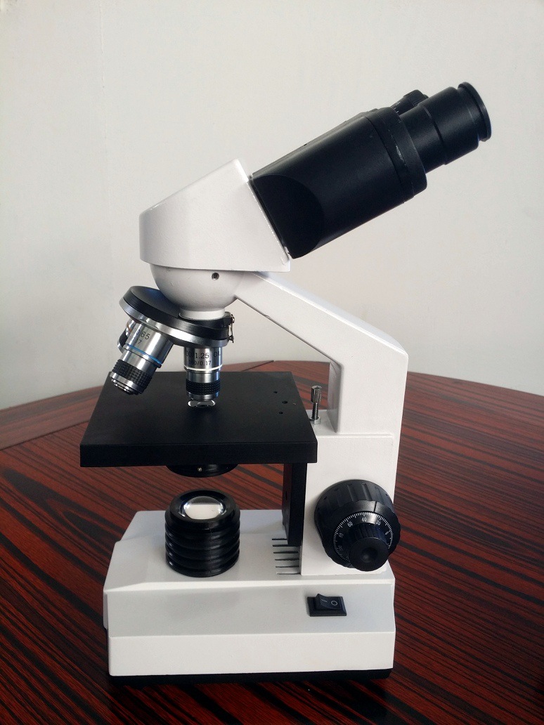 B104 双目显微镜 1600倍斜筒显微镜 30度铰链式双目 厂家批发