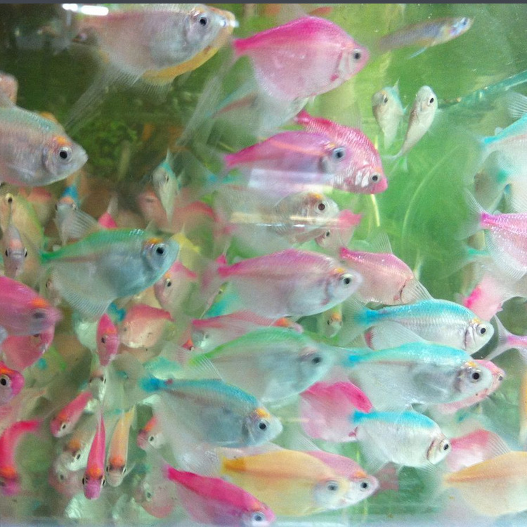 QQ图片20150613120021