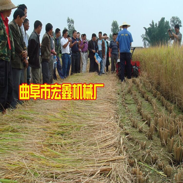 QQ图片20150708103646