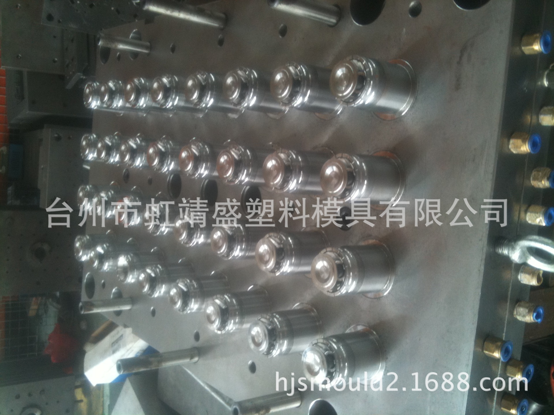 塑料盖模具、饮料盖、瓶盖模具 油壶/矿泉水瓶盖瓶坯模具加工