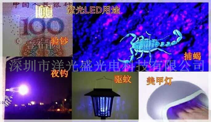 led灯珠洋光盛 (2)