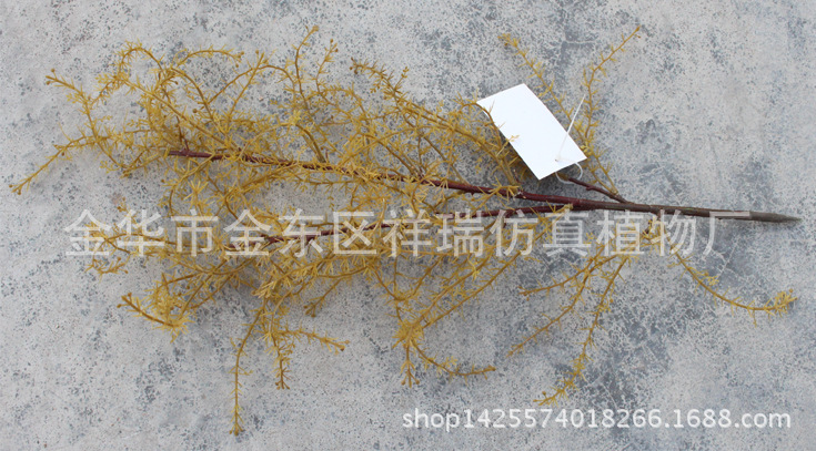 XRB-135骆驼刺叶2叉枝60叶秋色