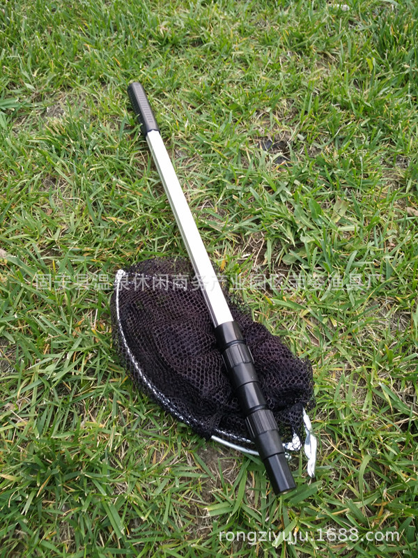 IMG_20150811_183729_副本