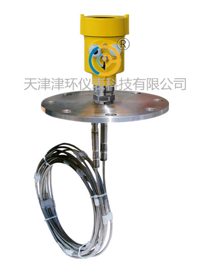 JHRD33双杆雷达物位计 双缆导播雷达 测量绝缘粉料的导播雷达