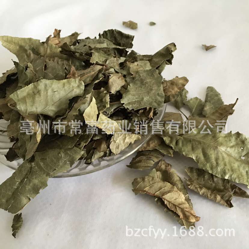 Cyclocarya Pilius Qing Qian Liu Whole Leaf Tea 500g Fujian Origin overview