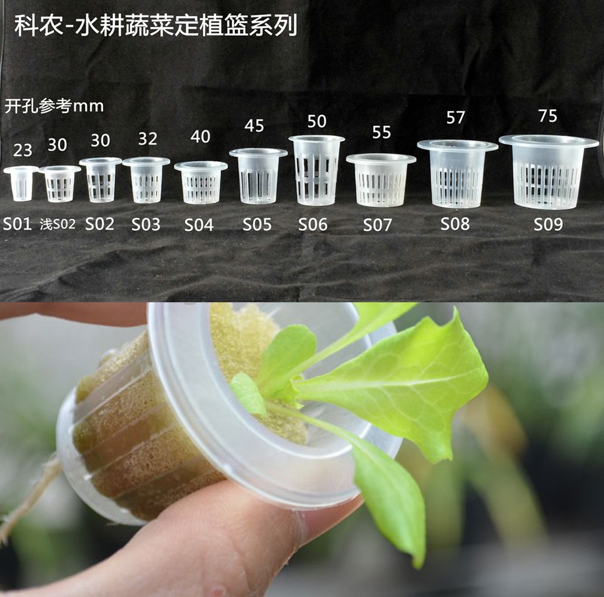 蔬菜定植篮0.09