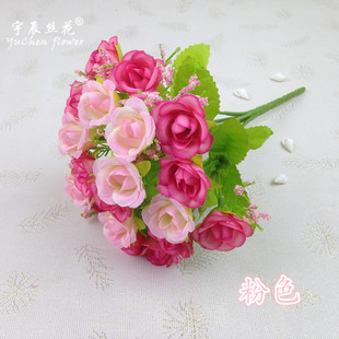 �S�����l 21�^�ʯõ�� 7�洺ɫСõ�� õ��  ���滨 ����