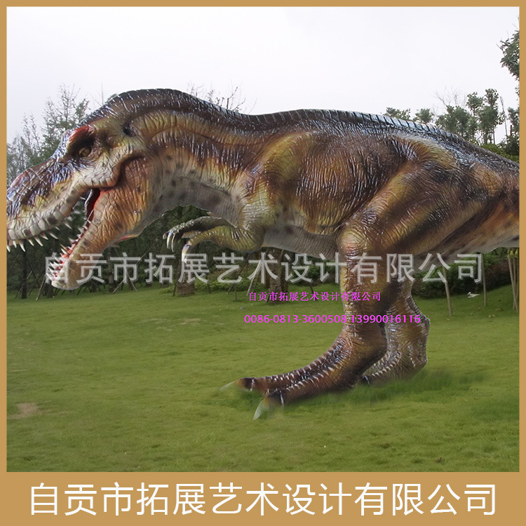 拓展艺术龙03