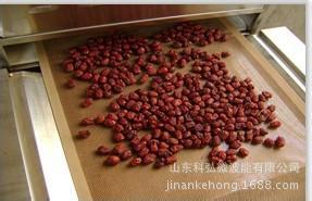 微波枣片鸡心枣烘干机