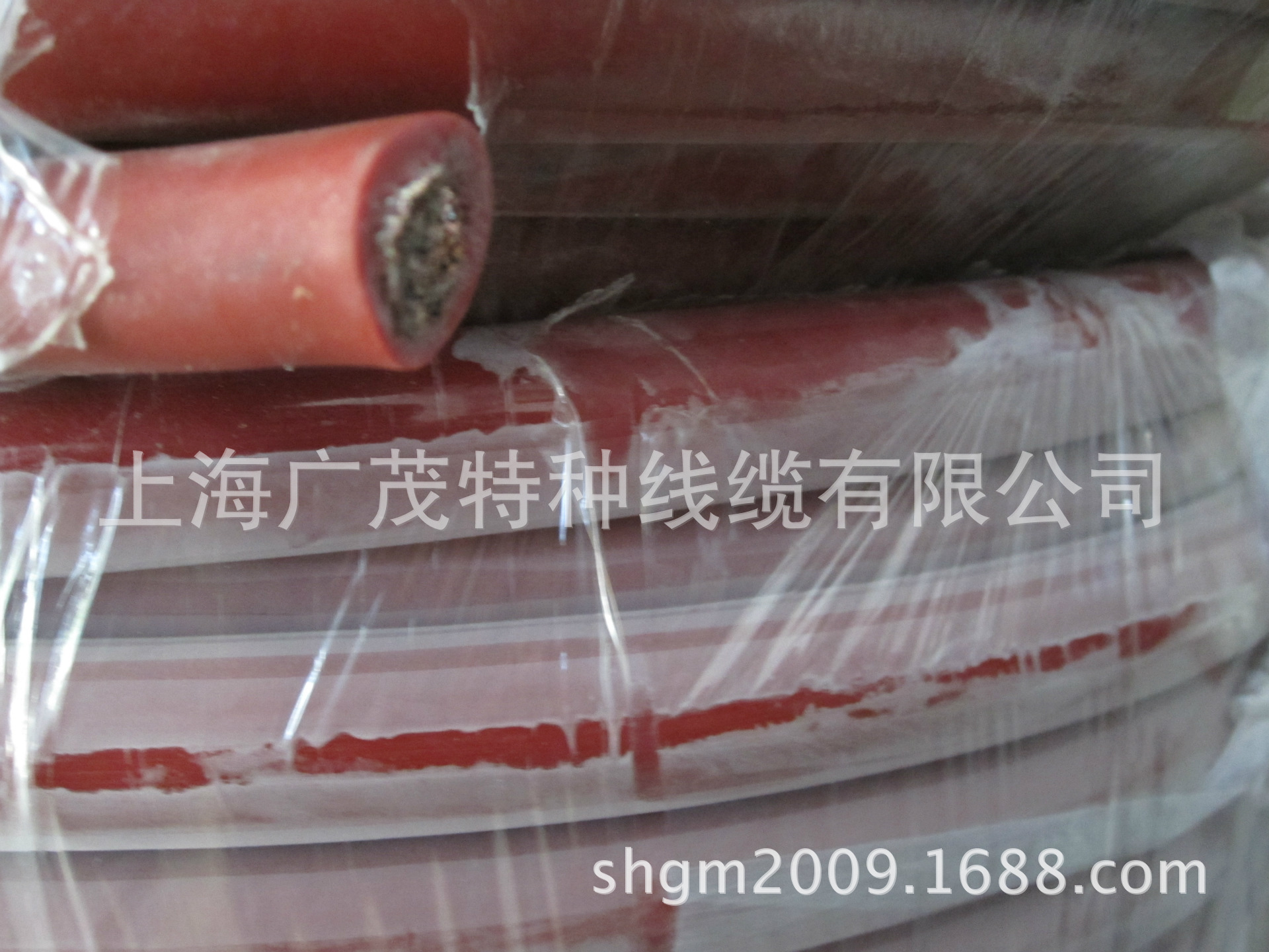 供应CE认证高温导线  硅橡胶护套 RGG AGR YG热电偶补偿导线