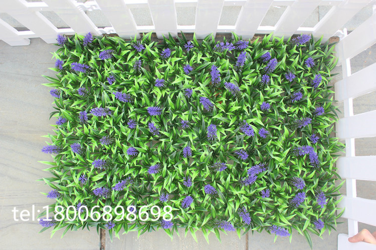 IMG_4865_副本_副本_副本