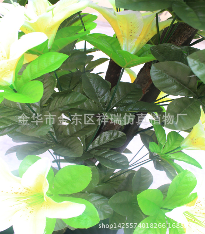 XRS-102小古点树头百合花近照