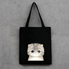 Cute cloth bag, one-shoulder bag suitable for men and women, shopping bag, backpack, Korean style, South Korea