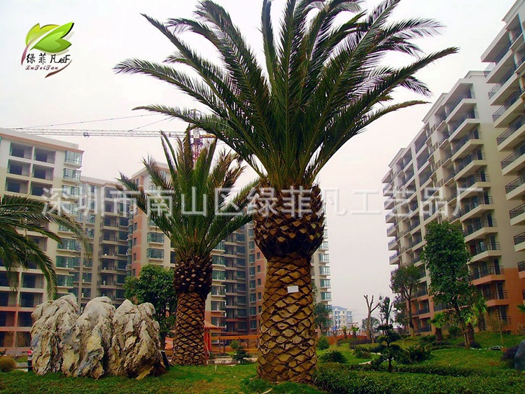 815023_20114121526703[1]