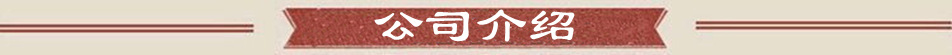 公司介绍